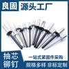 Fabricantes de Dongguan, remaches ciegos de cabeza redonda plana y negra cerrados, procesamiento de remaches de aluminio con pintura cepillada personalizada.