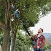 Tesouras para Galhos Altos Serras para Galhos Altos Poda em Alta Altitude Tesouras de Poda Elétricas Serras de Poda Mais Longas Galho Alto Galho Grosso Árvore Frutífera Jardim Poda