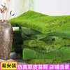 Simulação musgo verde falso musgo parede planta musgo micro paisagem bonsai paisagismo decoração gramado relva atacado