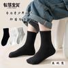Nuevos Calcetines de Algodón Peinado para Niños y Niñas Otoño e Invierno Absorbentes de Sudor y Desodorantes Calcetines Deportivos