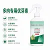 Solución Nutritiva Especial para Suculentas Fertilizante Concentrado Hidrosoluble Promueve la Germinación de Brotes Laterales y la Formación de Hojas Densas