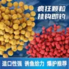 Cebo de Campo para Peces es Adecuado para Todas las Estaciones y se Puede Colocar Directamente en los Anzuelos para Carpa, Carpa de Hierba, Tilapia, Cebo Granulado, Cebo de Pesca Rápida para Personas Perezosas