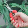 Tijeras de podar de acero inoxidable para jardinería casera, recolección de frutas, plantas en maceta, injertos, cosecha de frutas, uvas, caquis y plantas de pimiento