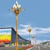 Nueva Lámpara Magnolia Nueve Fuegos de Ocho Brazos 10.12m Carretera Plaza Lámpara de Paisaje Comunidad Exterior Fabricante de Iluminación China