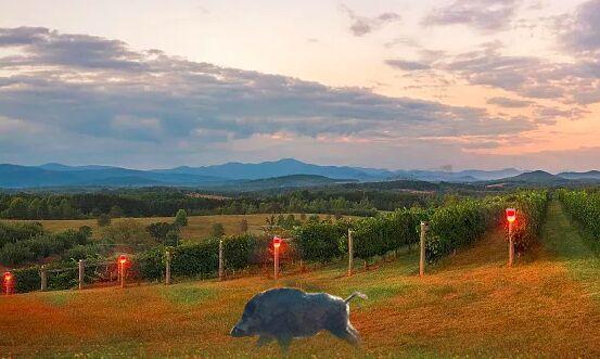 微信图片_20190830194954