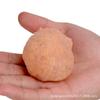 Cebo crujiente de calabaza a granel, cebo de pesca, camarones, material deslizante, carne de camarón, compañero, cebo de camarones frescos, pozo negro, pesca salvaje, carpa cruciana, carpa, pez deslizante