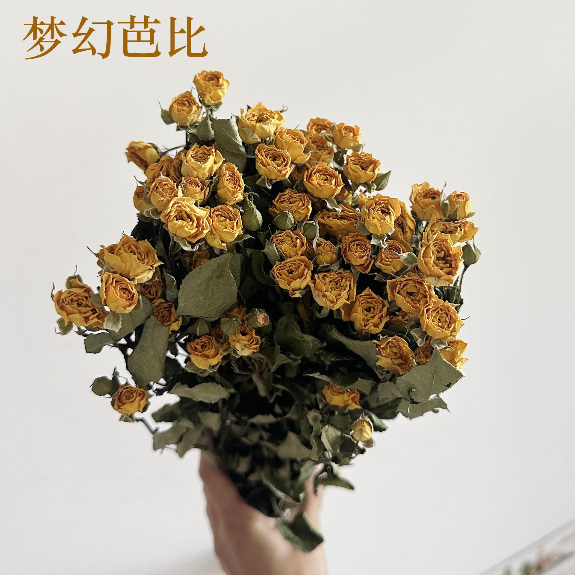 微信图片_20240906111254.jpg