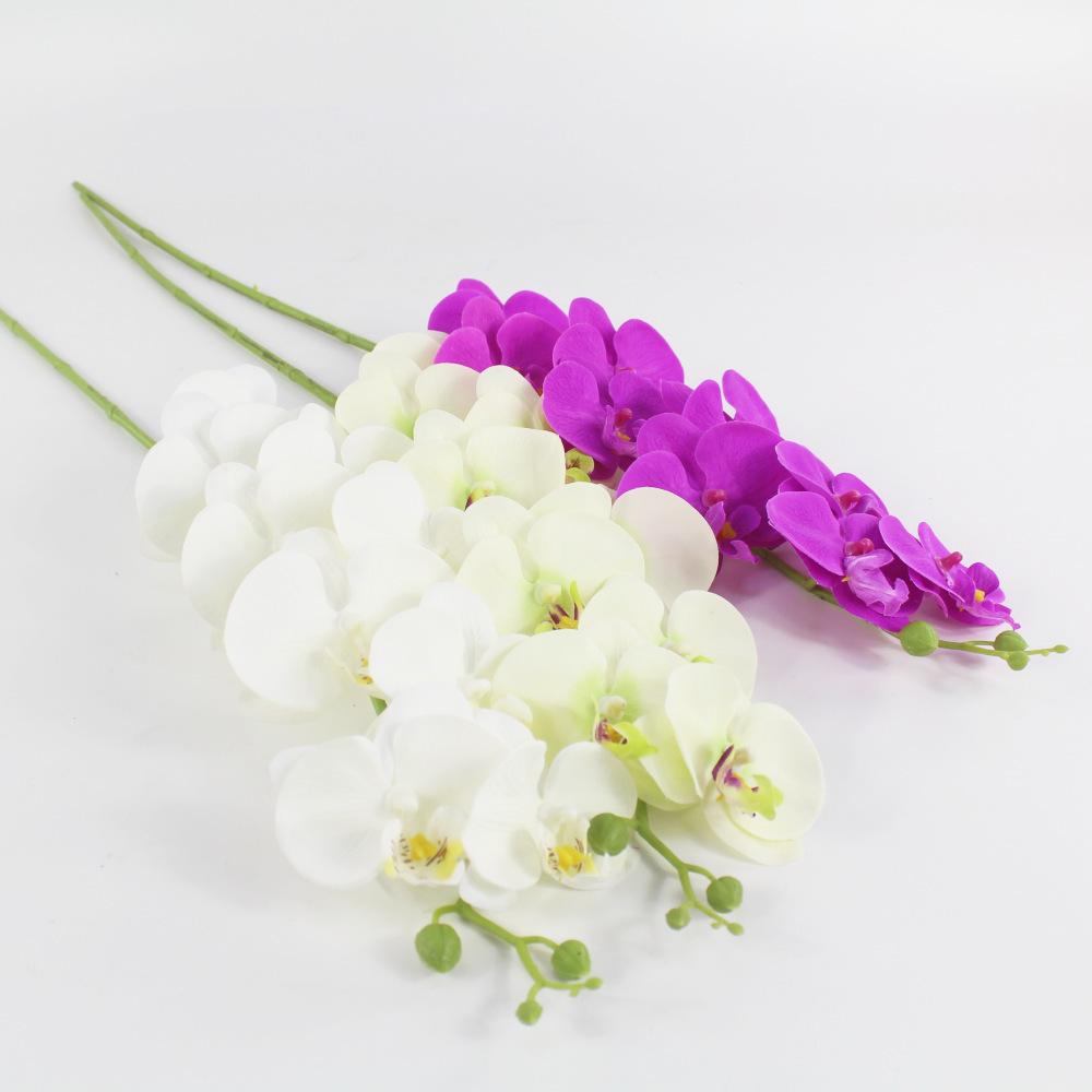 12742569534_717949217