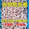 [Anillos de Calamar Fresco] Anillos de Calamar Frescos Cortados y Congelados Rápidamente, Tentáculos de Calamar, Tentáculos de Pulpo, Flores de Pulpo Calamar, Ingredientes para Hot Pot