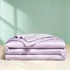 Colcha de helado refrescante, colcha refrescante de verano, colcha de verano, colcha de aire acondicionado, seda de hielo de verano, lavable, lavable a máquina, colcha fina individual, relleno de colcha