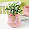 Vasos de Flores Cerâmicos Redondos Suculentos Para Mesa Simples Criativo Escandinavo Ins Para Interior Jiboia e Planta Verde Vasos Coloridos a Laser