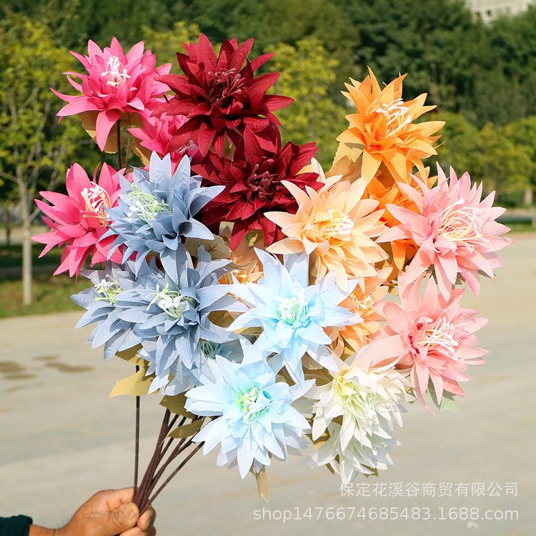 主图 林溪郡_副本.jpg