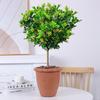 Dropshipping Perfume Flor de Milán Planta Verde en Maceta Planta de Flor de Interior Sala de Estar Balcón Planta de Floración de Cuatro Estaciones Jazmín