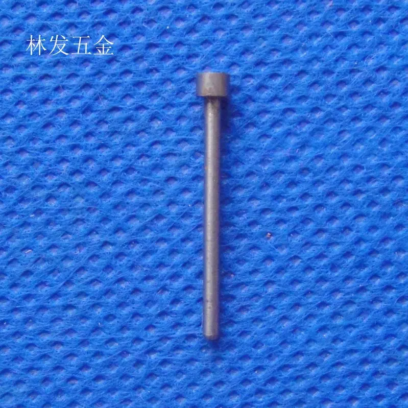 DSC04531.JPG