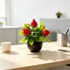 Simulação transfronteiriça de 5 árvores frutíferas, plantas pequenas em vasos, frutas da sorte de Ano Novo, bonsai de plástico, mini enfeites decorativos de mesa