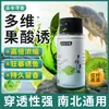 Localizador de Peixes de Água DoceMulti-Vitamina Ácido Frutado Isca para Carpa Crucian e Carpa, Atrativo de Peixe Especializado de Alta Concentração para Pesca em Tanques Escuros