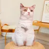 2026 Modelo Nuevo Almohada de Peluche Divertida con Forma de Animal y Patrón de Impresión Digital, Almohada Casera Casual y Cómoda
