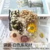 Paquete de Materiales de Flores Preservadas y Secas Pegatinas para Marco de Fotos DIY Grupo de Abanicos Grupo Flotante Actividades de Construcción de Grupos Clase de Arreglo Floral Flores Hechas a Mano
