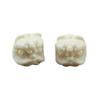 Polvo de concha presión marfil de mamut blanco danza del león cinabrio danza del león fruta de imitación de marfil raíz de Bodhi accesorios para perforaciones de danza del león