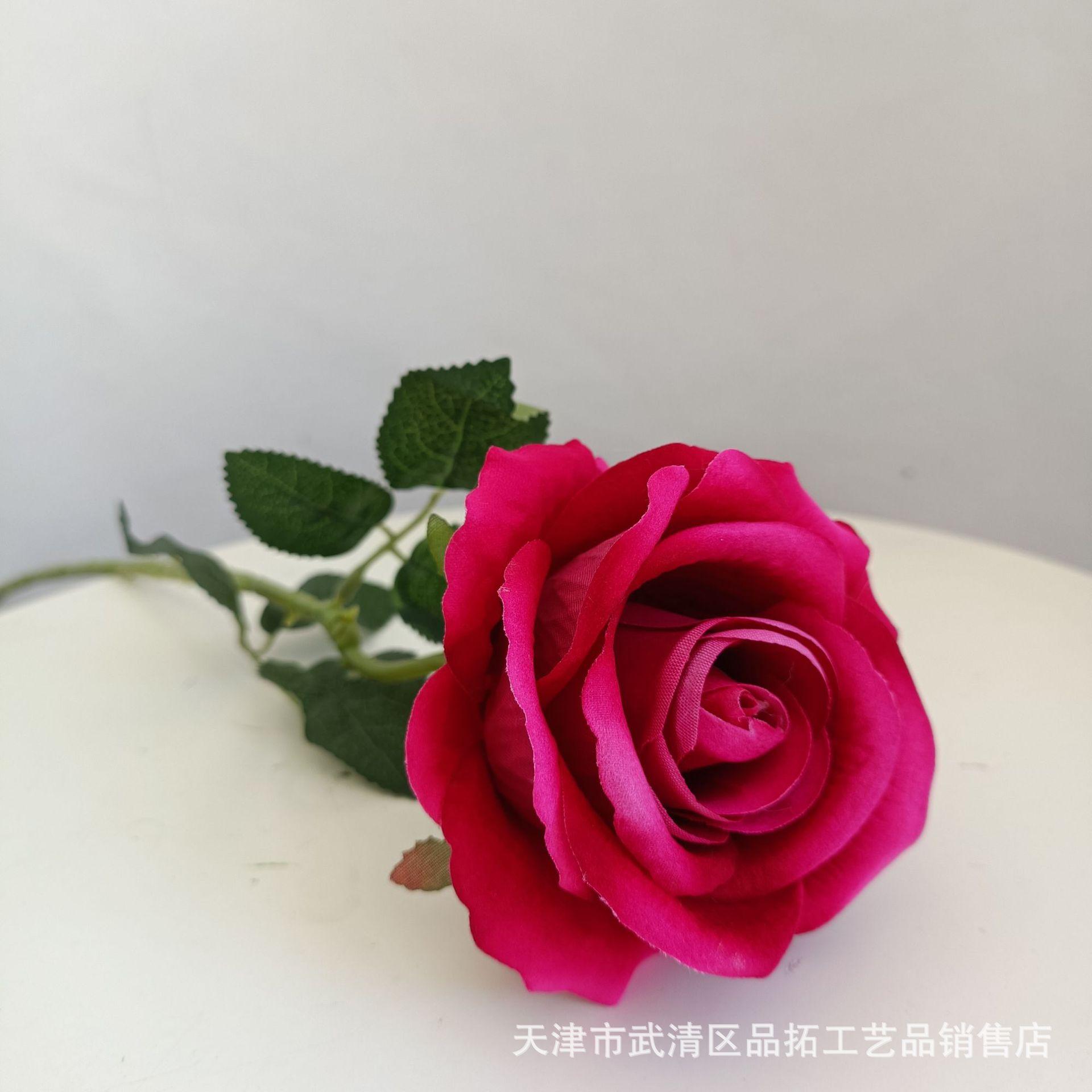 9c74ace296851dee0307c342cf6250