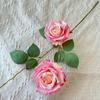 Simulación de flores de 2 rosas transfronterizas, simulación de altura, decoración de bodas, decoración del hogar, accesorios de fotografía al por mayor