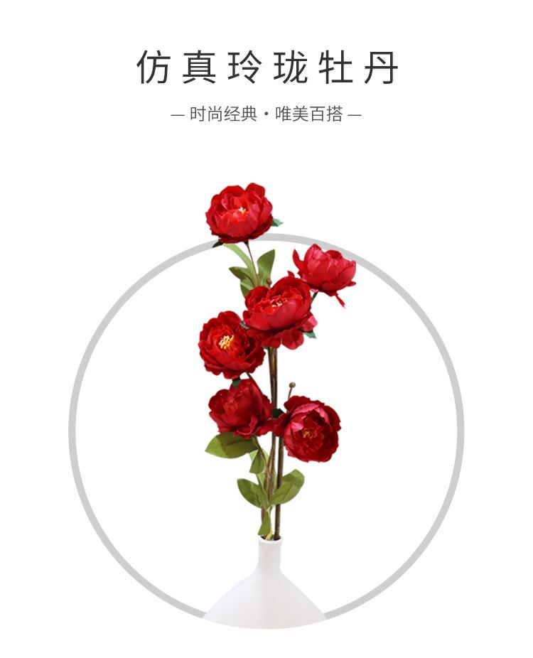 详情_01