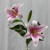 Flor de Lírio de Couro Impressa em 3D 2 Flores 1 Botão Flor de Lírio Simulada Flor de Casamento Decoração de Casa Exportação Atacado Flor Artificial Flor de Seda