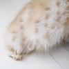 Novo chapéu fofo com orelhas de coelho feminino inverno novo estilo coreano quente pulôver boné estilo japonês protetores de orelha fofos boné lei feng