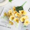 Flor Artificial 5 Hastes Phalaenopsis Filme 3D Flor Cabo Pequeno Floricultura de Luxo Leve Decoração de Sala de Estar Doméstica Flor Falsa Comércio Exterior Transfronteiriço