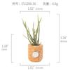 Amazon Planta Artificial Suculenta Imán de Corcho Imán de Refrigerador Decoración del Hogar Estilo Pastoral Suculenta Creativa Atracción Magnética