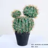 Cactus Pilares de Dragón Simulados Cactus Parásito Planta del Desierto Marroquí Decoración Suave para Paisajismo Modelo Decoración de Proyectos