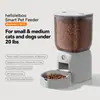 Comedouro Automático para Pets 4L Graffiti Inteligente APP Remoto WiFi com Gravação Vedado para Manter Fresco Comedouro para Gatos e Cachorros
