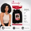 Pelucas Africanas Transfronterizas Afro Kinky Mayoreo Cabello para Crochet Cabello Trenzado Corto Rizos Pequeños Fábrica de Pelucas Europeas y Americanas Venta al por Mayor