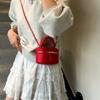 2025 Nuevo Bolso Mini Acolchado de Cadena de Alta Gama Nuevo Bolso de Hombro Cruzado Versátil y a la Moda Moda Europea y Americana Bolso de Mujer