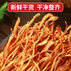 Flores de Cordyceps secas premium, un hongo especial para hacer sopas, cultivado por agricultores locales, apto tanto para uso doméstico como comercial, con envío gratuito