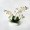 2 hastes com 21 orquídeas phalaenopsis artificiais em vaso para decoração de mesa de hotel, planta verde bonsai, vaso de flor artificial criativo para mesa de trabalho