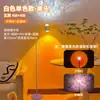 Lámpara de pie con ondas de atardecer de moda, lámpara de mesa, lámpara de pared, luz ambiental para fondo de sala de transmisión en vivo, luz de atardecer, viene con 8 tarjetas de colores
