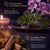Pegatinas de Lavanda Kormesic para Dormir Fragancia Fresca Cuidado para un Sueño Pacífico y Reparador