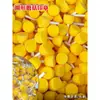 Suministros de Arte para Niños DIY Palo Esponja Redonda para Frotar Pigmento de Pintura Herramientas de Graffiti Sellos de Pintura con Cabeza de Hongo