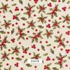 Tecido Roupa Infantil Material Biscoito Tecido de Cama Fundo Produção Cena de Morango Tecido Estampado Natal Desenho Animado