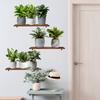 ATW4067 plantas verdes creativas macetas pegatinas de pared sala de estar dormitorio pared de fondo pegatinas de pared decorativas pegatinas de pared autoadhesivas venta al por mayor