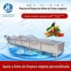 Máquina automática de limpeza de bolhas de frutas e vegetais Máquina de limpeza de espinafres de colza em aço inoxidável grande linha de montagem de limpeza