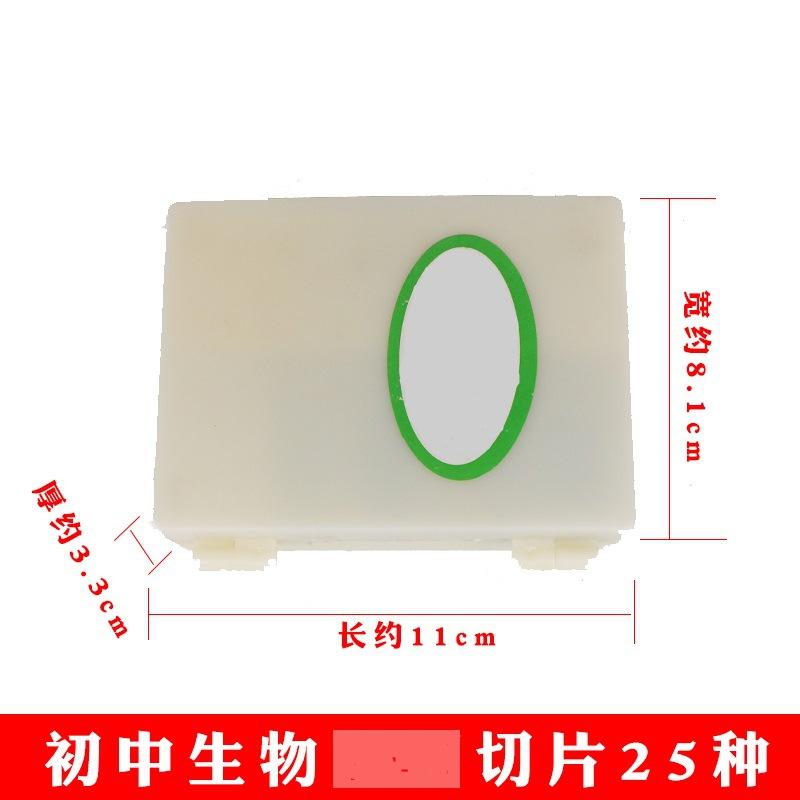 25种切片4