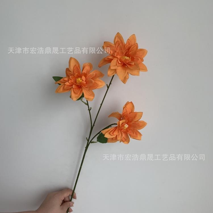 微信图片_20230811172723_副本