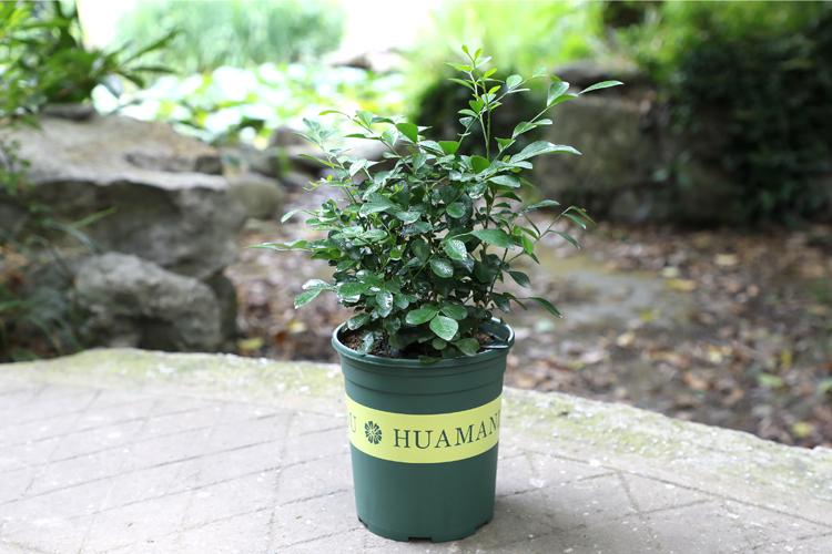 gm6WifKnzdTvlDjbUnfRcwCoVoH8mQnkyGBF