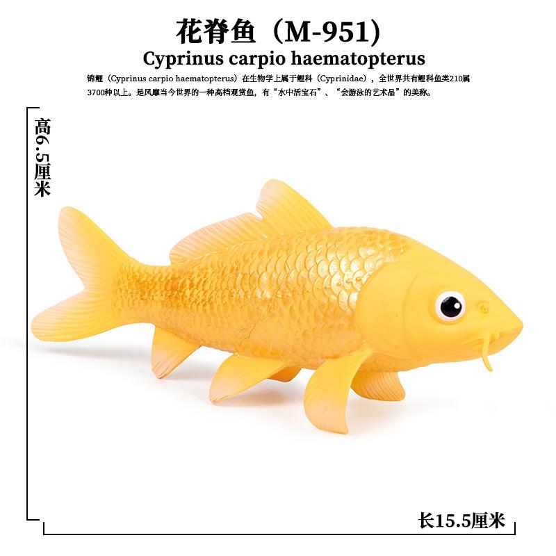 PL127-951花脊鱼
