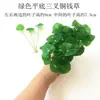 3 Piezas de Hierba del Dinero con Hojas de Moneda de Cobre, Plantas Verdes Pequeñas en Maceta para Decoración de Escritorio