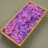 Flor Mágica Flor Eterna AB Anna Hortênsia 100g Aniversário Real Flor Diy Material Flor Seca Decoração Namorada Presente