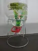 5 Cubetas de Agua para Acuario, Agua Pura, Agua Mineral, Soporte Grande para Cubeta, Acuario Invertido, Soporte Casero para Cubeta