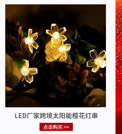 图片编辑202312059239.021377519715